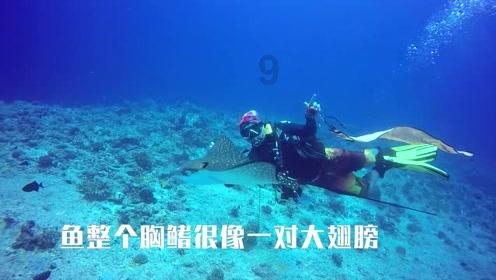 炉石传说